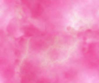 Textures 270